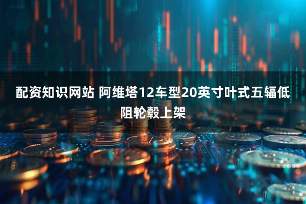 配资知识网站 阿维塔12车型20英寸叶式五辐低阻轮毂上架