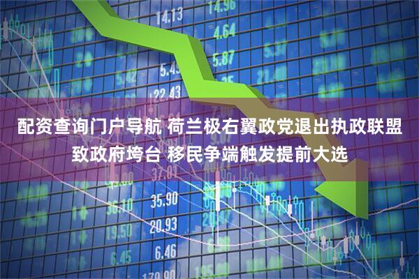 配资查询门户导航 荷兰极右翼政党退出执政联盟致政府垮台 移民争端触发提前大选