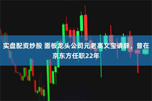 实盘配资炒股 面板龙头公司元老高文宝请辞，曾在京东方任职22年